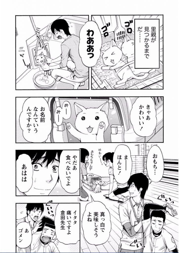 【エロ漫画】子猫ちゃんのおかげで獣医の元カノと元サヤSEXできました！おもちちゃん、有難う！【東タイラ】