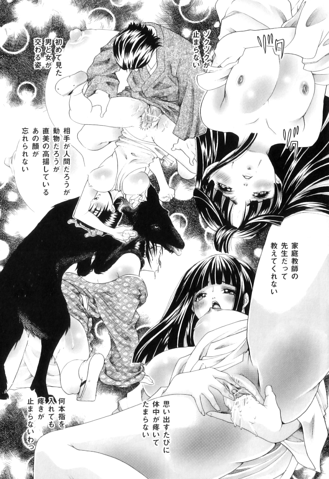 【少年漫画】使用人の女を懲らしめようと雄狼と獣姦させる着物令嬢…しかし本性を表した女とその兄に自分も調教されて無理やり犯され、３ｐ獣姦調教レイプでマゾアクメ【橘孝志：山百合の舞】
